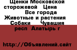 Щенки Московской сторожевой › Цена ­ 35 000 - Все города Животные и растения » Собаки   . Чувашия респ.,Алатырь г.